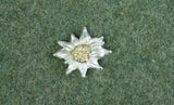 German WWII Edelweiss Insignia For Visor Cap