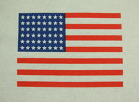 WW2 United States US 48 Stars Airborne Sleeve Arm Flag